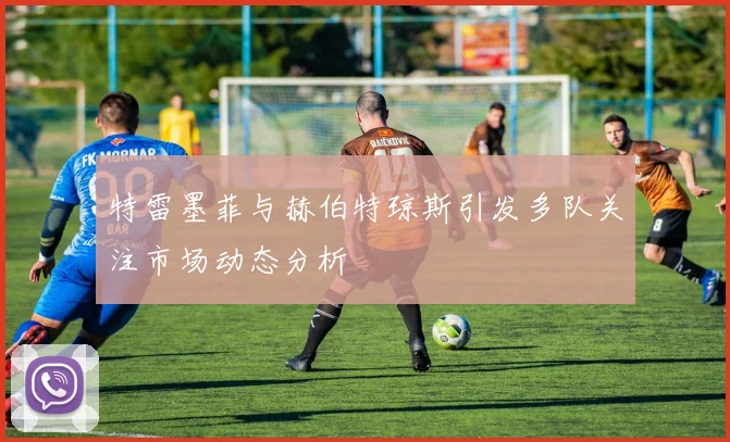 特雷墨菲与赫伯特琼斯引发多队关注市场动态分析