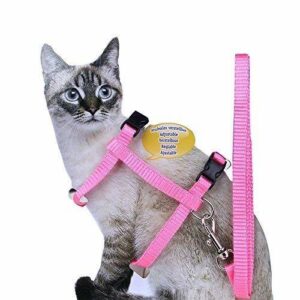 Cat Harness and Leash Adjustable